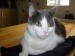 Thumbs/tn_!cid_1_2939946897@web24701_mail_ird_yahoo.jpg