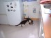 Thumbs/tn_!cid_image001_jpg@01C9FDA5.jpg