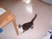 Thumbs/tn_!cid_image002_jpg@01C9FDA5.jpg