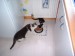 Thumbs/tn_!cid_image002_jpg@01C9FDA6.jpg