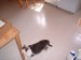 Thumbs/tn_!cid_image003_jpg@01C9FDA5.jpg