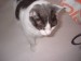 Thumbs/tn_!cid_image004_jpg@01C9FDA5.jpg