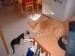 Thumbs/tn_!cid_image005_jpg@01C9FDA5.jpg