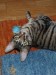 Thumbs/tn_Aramis-10.jpg