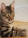 Thumbs/tn_Aramis-12.jpg