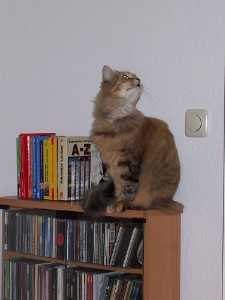 ../Images/Bonny1.jpg