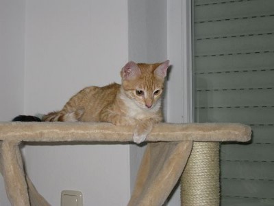 ../Images/Gina-Mimi-02.jpg