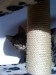 Thumbs/tn_hollystanley02.jpg