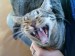 Thumbs/tn_hollystanley04.jpg