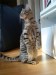Thumbs/tn_hollystanley06.jpg