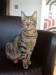 Thumbs/tn_hollystanley07.jpg