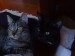 Thumbs/tn_hollystanley09.jpg