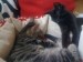 Thumbs/tn_hollystanley10.jpg