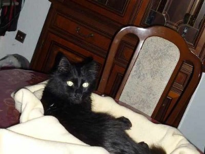 ../Images/UNKNOWN_PARAMETER_VALUE.jpg