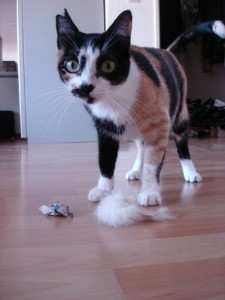 ../Images/Rita-14.jpg
