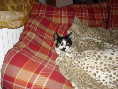 ../Images/Rita-8.jpg