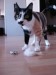 Thumbs/tn_Rita-14.jpg