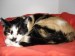 Thumbs/tn_Rita-15.jpg