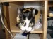 Thumbs/tn_Rita-16.jpg