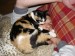Thumbs/tn_Rita-17.jpg