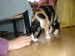Thumbs/tn_Rita-2.jpg