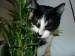 Thumbs/tn_Rita-6.jpg