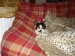 Thumbs/tn_Rita-8.jpg