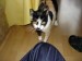 Thumbs/tn_Rita-9.jpg