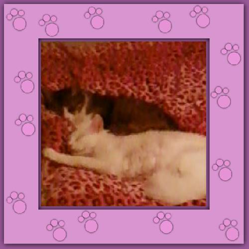 Anita & Almita