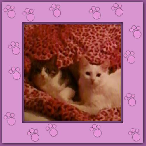 Anita & Almita