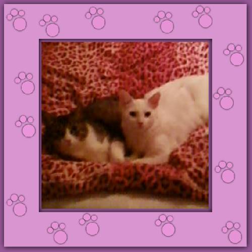Anita & Almita