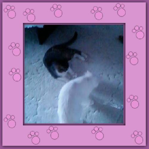 Anita & Almita