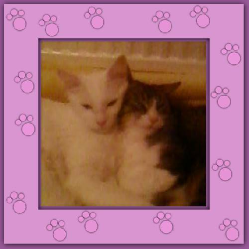 Anita & Almita
