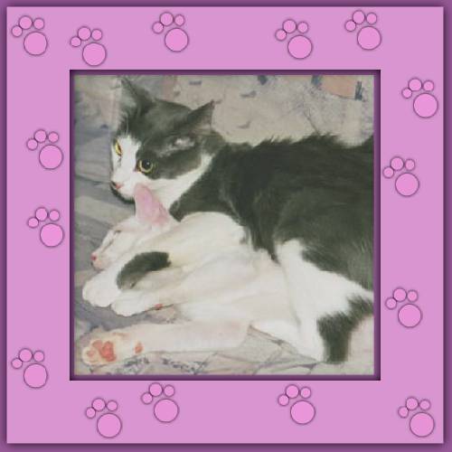 Amor & Milo