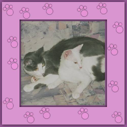 Amor & Milo