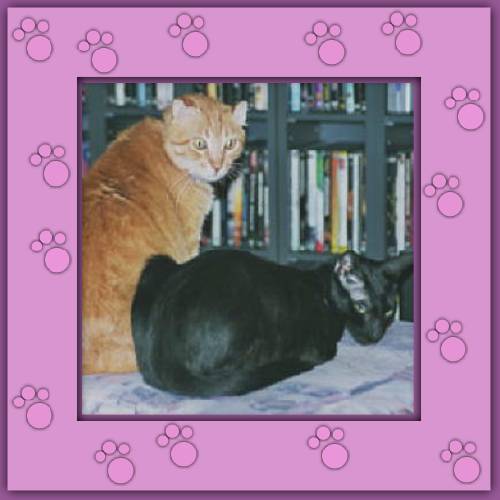 Bolita & Nicky