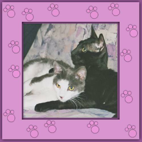 Nicky & Milo