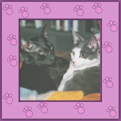 Nicky & Milo