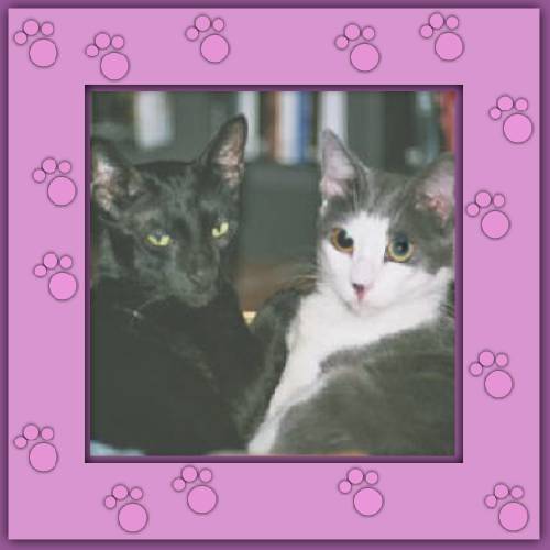 Nicky & Milo