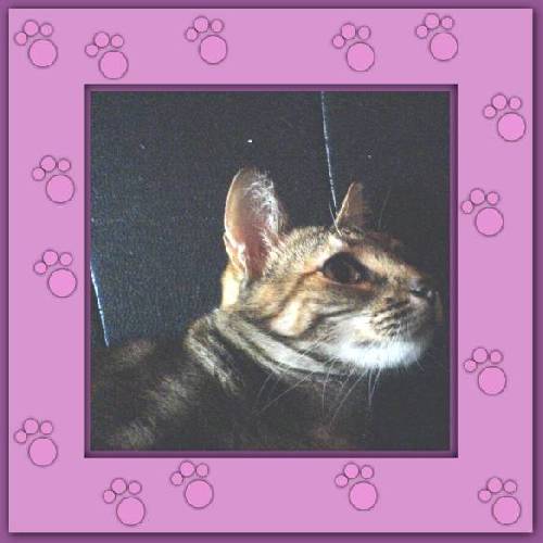 Batida