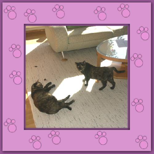Belly & Minou