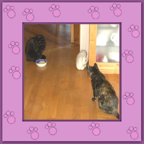 Belly & Minou