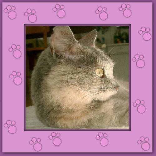 Bijou
