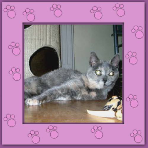 Bijou