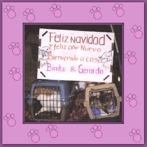 Bimbo & Gerardo