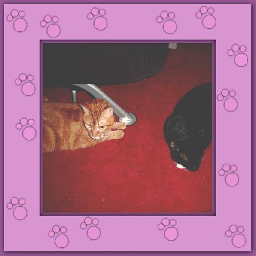 Black Snow & Pluto