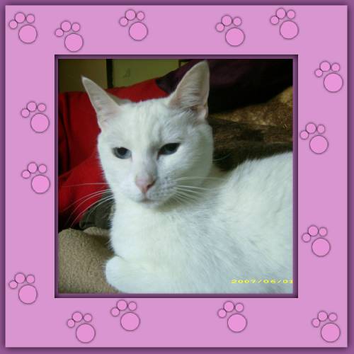 Blanca