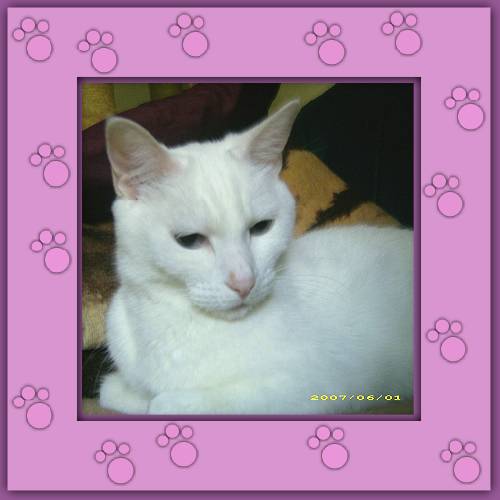 Blanca