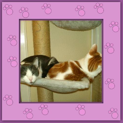 Bonny & Felix