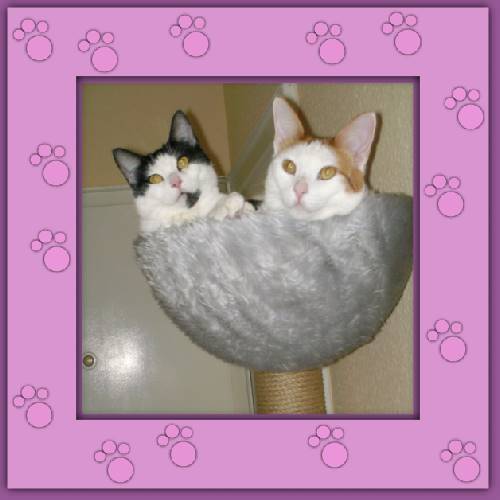 Bonny & Felix